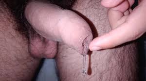 I dick ebony hairy cunt with big penis and empty balls inside her free porn videos youporn jpg x Hairy penis