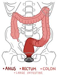Anal sex tutorial how to have sodomy for the first time jpg x Anal sex for beginners