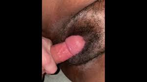 Ebony white dick jpg x Ebony bbw white dick