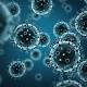 Influenza: The search for a universal vaccine 