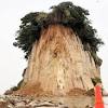 名所「見附島」の近隣住民「昨年より崩れ方ひどい」 地震で一部 ...