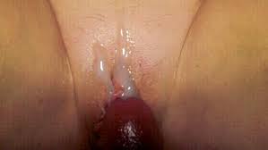 Fdf e ebf ddf jpg x Cum in pussy