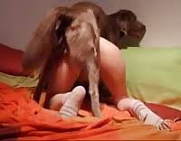 Girl getting fucked her dog zoo porn dog sex zoophilia jpg x Girls getting fucked by dogs