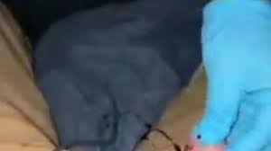 Man with his penis cut off jpg x Dick cut off