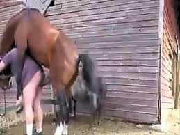 Teen loves spreading her legs for the horses cock to enter png x Girl getting fucked by horse