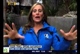 San Diego Reporter Tells Viewers How to F--k.