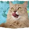 2022年2月22日は#猫の日 限定絵文字がTwitterに