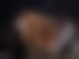 badonion hentai 3d 16|BadOnion - Elf and Orc | 18+ Porn Comics