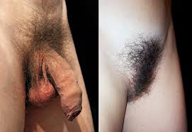 Should guys shave their pubic hair for porn jobs jpg x Pubic hair