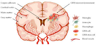 son ye jin fake nude|The 30 Best Netflix TV and Movie Kisses - Netflix Tudum