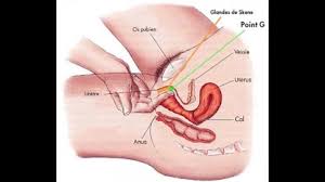 Learn to squirt jpg x Learn to squirt