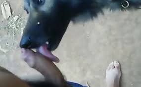 Ced cfe guy fucks dog gaybeast com siterip jpg x Guys fucking animals