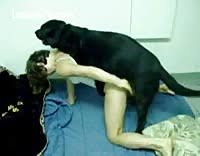 Sex with dogs videos jpg x Sex with dogs videos