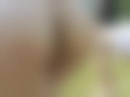 mumo-sengen outdoor pussy |Queen Japanese Mumo Sengen Outdoor Shaved Solo Totally Shavedsexiezpix Web  Porn