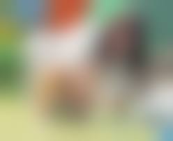 ママ　パンチラ|ママと談笑する子を静かにめくり。｜PALPIS（パルピス）