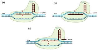 3d rape porn gif|OneZero: The First 26 Months. Access every story published in the… | by  Damon Beres | Medium