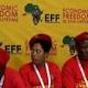 Malema Announces EFF's Parliamentary Leadership Structure