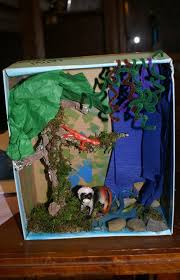 6th grade Biome Project Samples | Mrs Sosa's Class