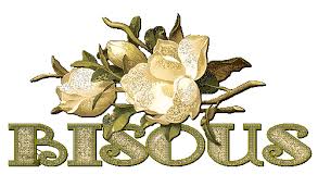 Afficher l'image en taille relle