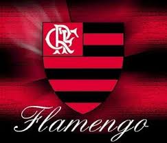 flamengo2.jpg