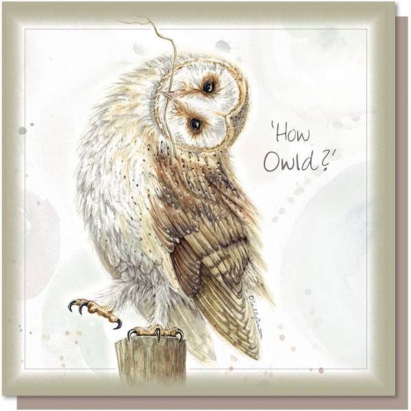 Endangered Collection - Barn Owl