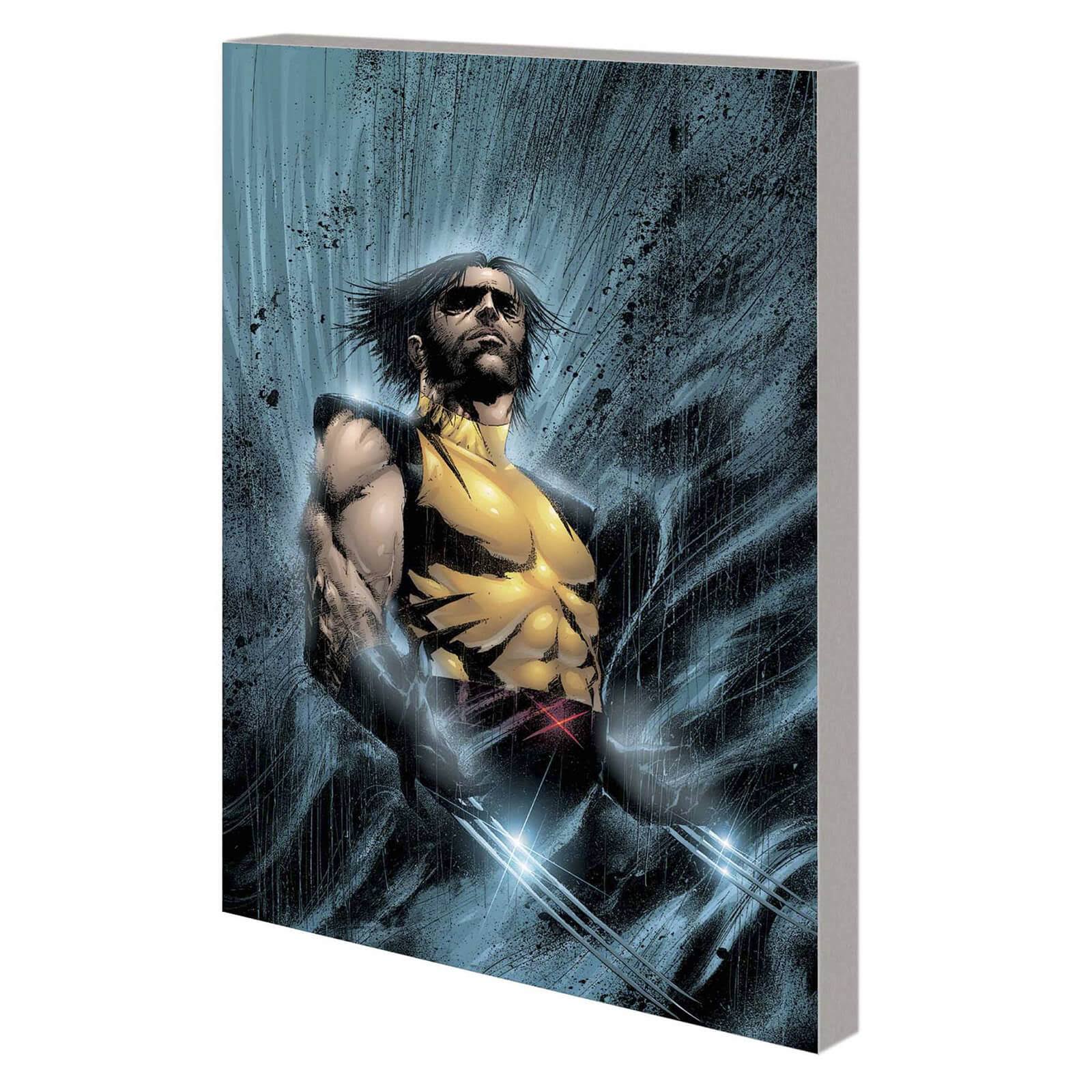Wolverine: Blood Wedding [Book]