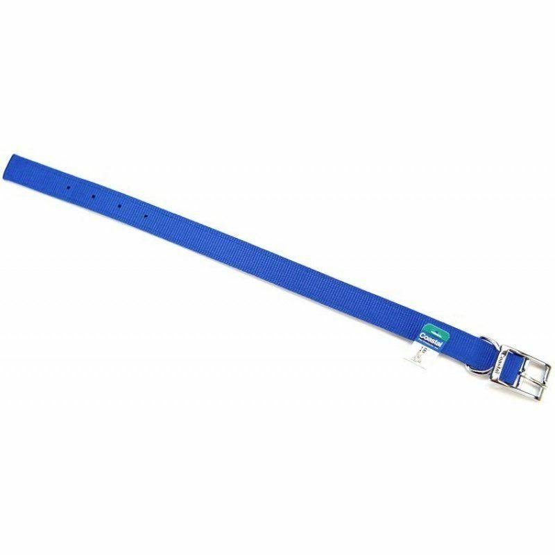Coastal Pet Double Ply Nylon Collar - 1" x 18", Blue