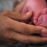 Maternal COVID infection may increase risk of preterm birth, study says