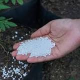 Global Calcium Nitrate Market Size, Share, Price, Trends, Growth, Analysis, Key Players, Report, Forecast 2021-2026