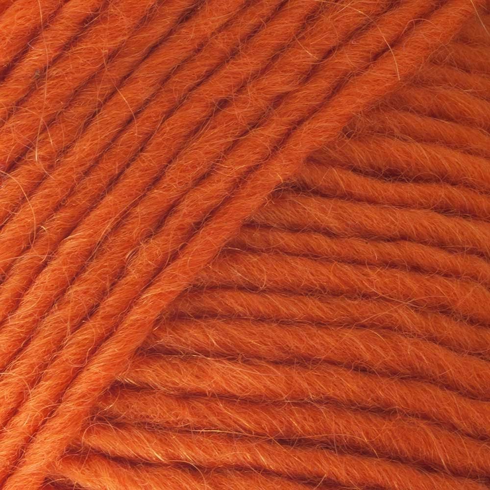 Brown Sheep Lamb's Pride Worsted - Autumn Harvest (M22)