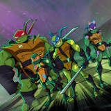 Seth Rogen's Teenage Mutant Ninja Turtles Is Finally on the Way