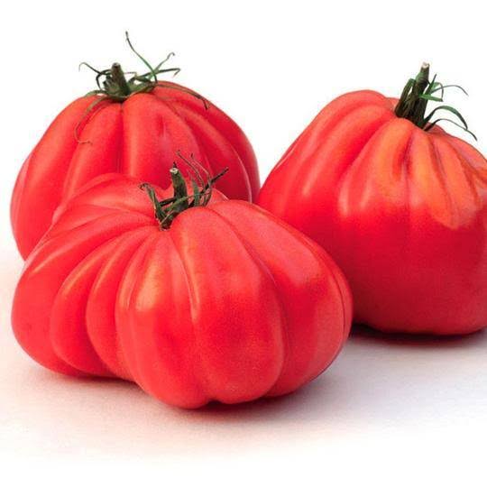 Tomato Italian Red Pear - McKenzie Seeds
