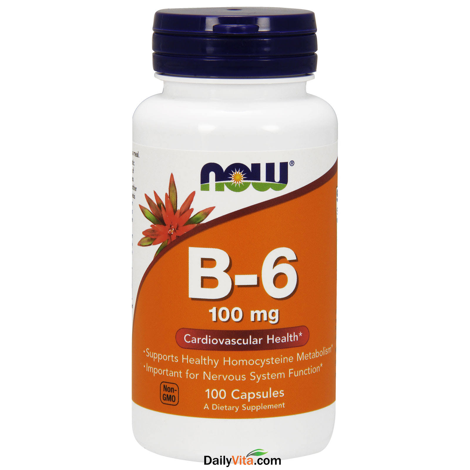 Now Foods Vitamin B-6 - 100mg, 100 Capsules