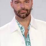 Ricky Martin's reps deny allegations in domestic restraining order: 'Completely false and fabricated'
