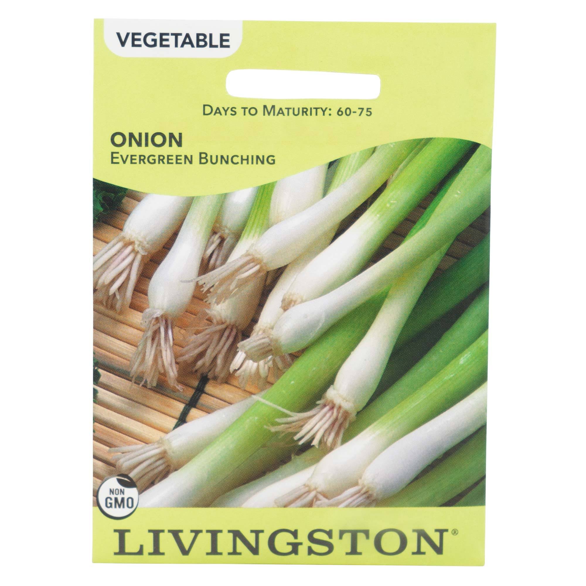 Livingston Seeds Onions Non-GMO Evergreen Bunching Seeds Packet