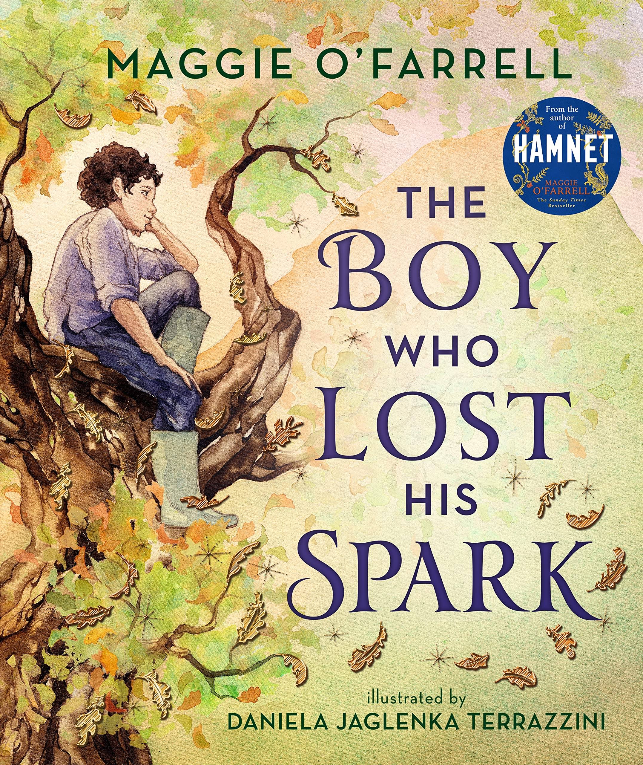 The Boy Who Lost His Spark [Book]