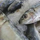 Dementia: Eating cold-water fish may preserve brain health and 'enhance' cognition - study