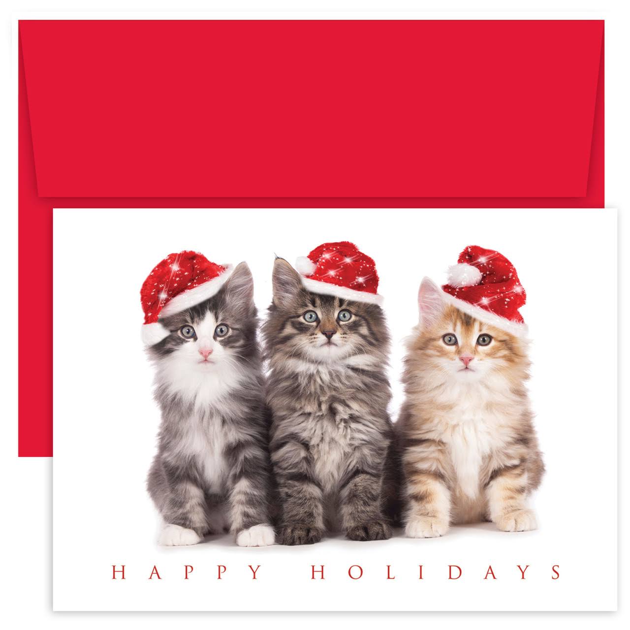 Masterpiece Studios Greeting Card Christmas Kittens 'Happy Holiday' Notecard Set One-Size