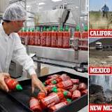 Sriracha hot sauce maker warns of shortage