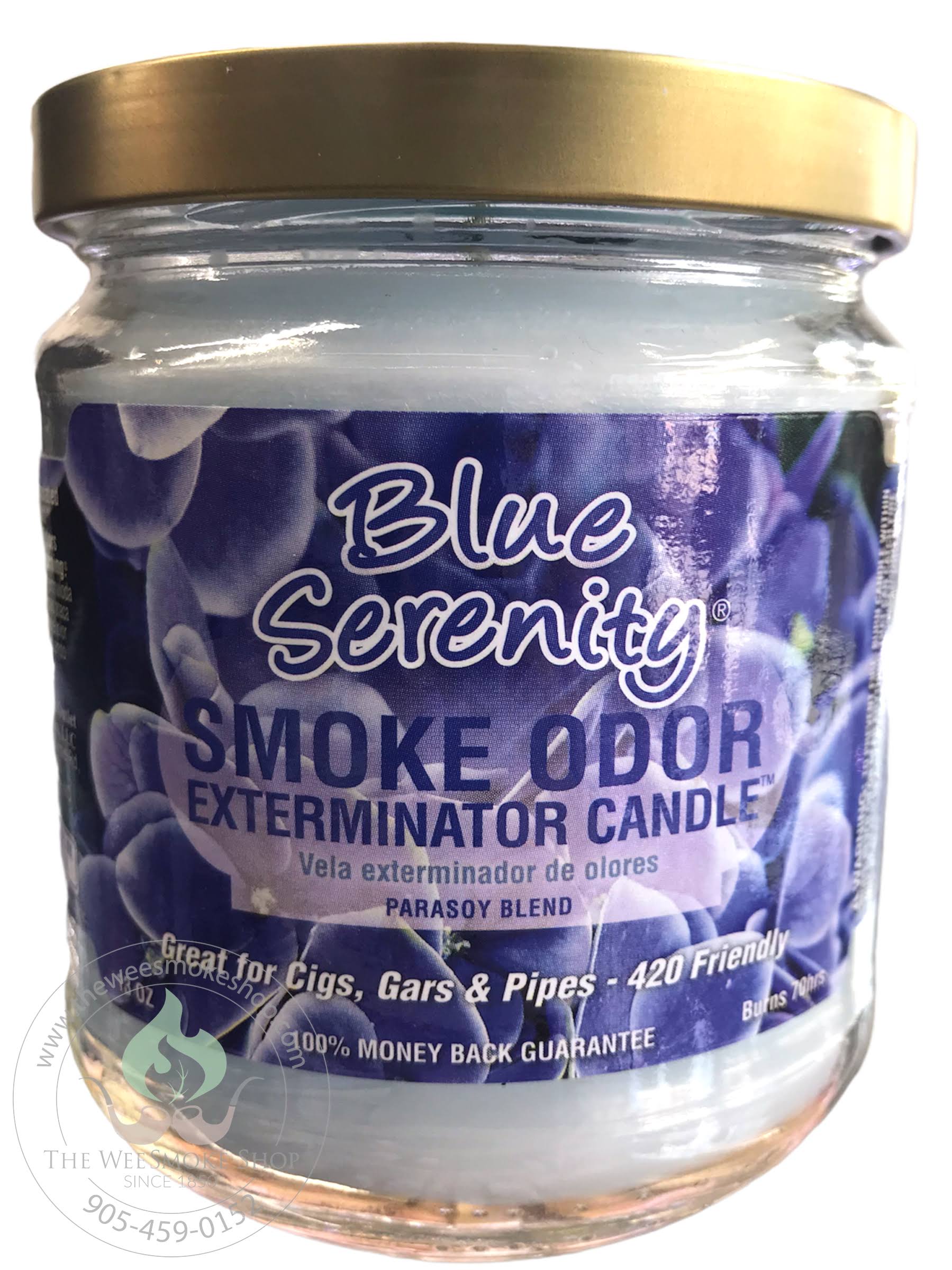 Smoke Odor Exterminator 13oz Jar Candle, Blue Serenity, 13 oz