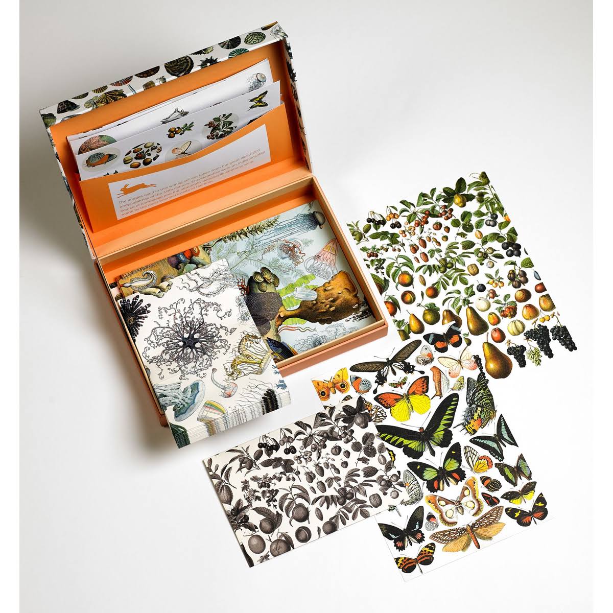 Letter Writing Set Natural History