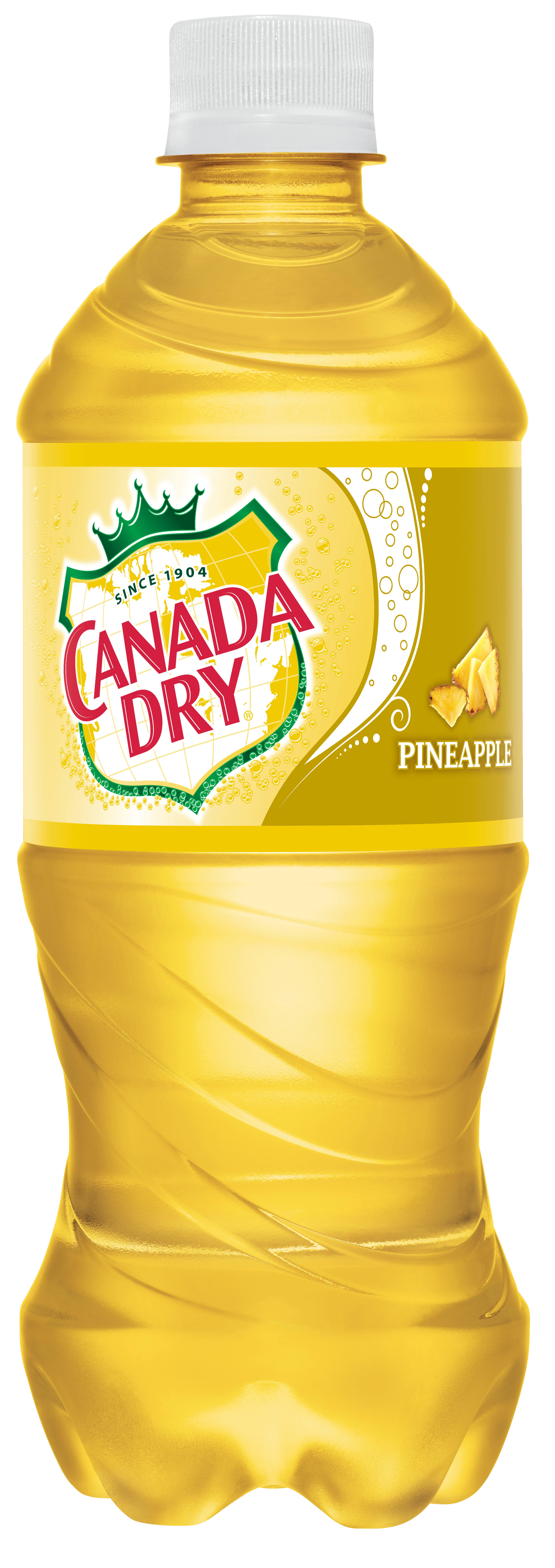 Canada Dry Pineapple Soda - 20oz