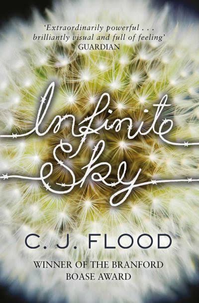 Infinite Sky - C. J. Flood