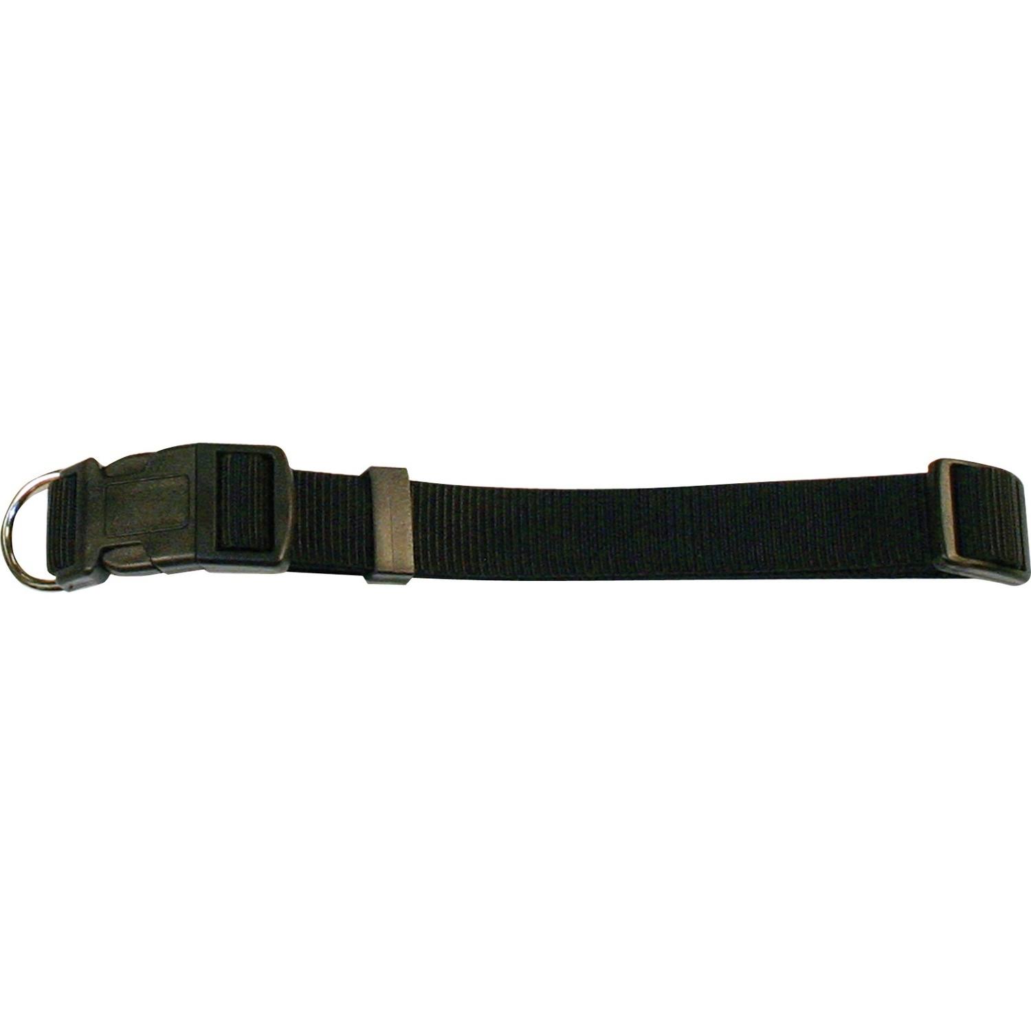Aspen Pet Nylon Adjustable Collar - Red, 1" x 16-26"