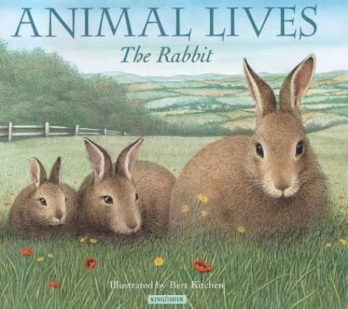 The Rabbit [Book]
