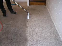 Carpet Cleaning in Alexandria