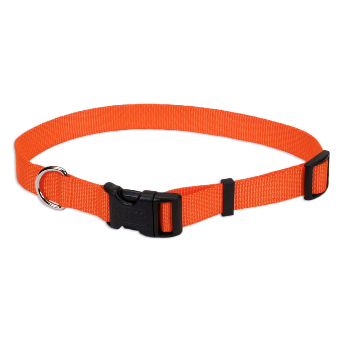 Coastal Pet Products Nylon Adjustable Dog Collar - Orange