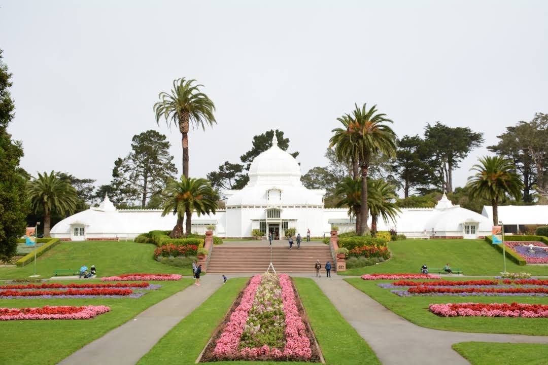 Golden Gate Park image