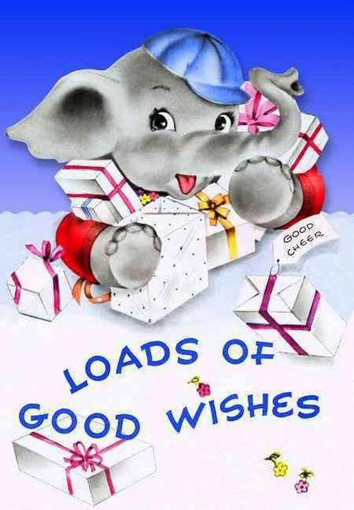 Baby Elephant with Gifts Birthday Greeting Card