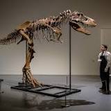 Gorgosaurus sells for US$6.1m at New York auction